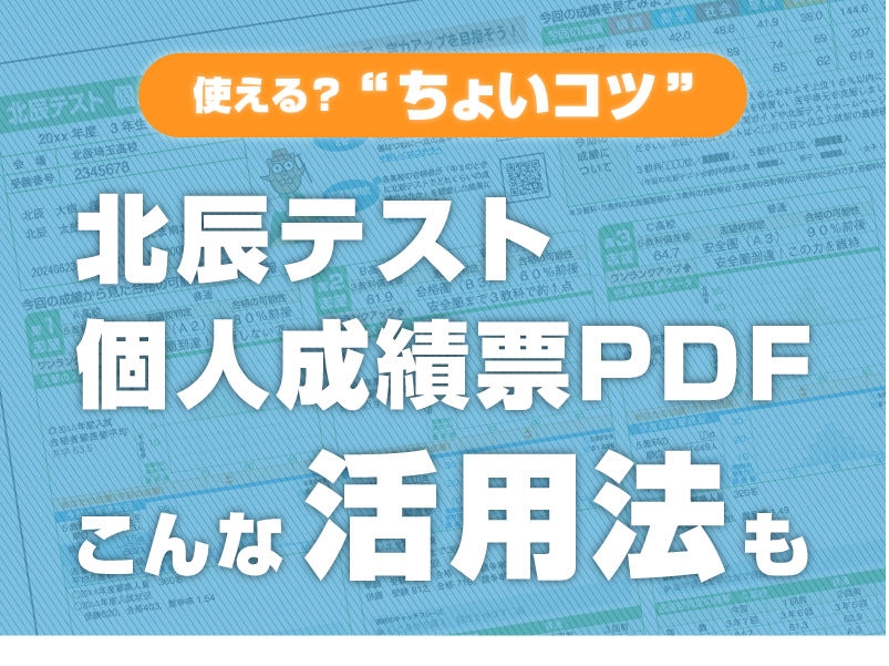 北辰テスト個人成績票PDF活用法　メニューページ